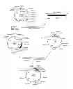 Fig. 07 - Treatment of tumors with recombinant interferon alpha
