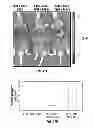 Fig. 43 - Capsid-modified rAAV vector compositions having improved transduction efficiencies, and methods of use