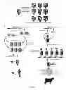 Fig. 08 - ULTRALONG COMPLEMENTARITY DETERMINING REGIONS AND USES THEREOF