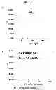 Fig. 11 - ULTRALONG COMPLEMENTARITY DETERMINING REGIONS AND USES THEREOF