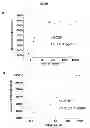 Fig. 13 - ULTRALONG COMPLEMENTARITY DETERMINING REGIONS AND USES THEREOF