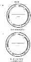 Fig. 19 - ULTRALONG COMPLEMENTARITY DETERMINING REGIONS AND USES THEREOF