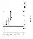 Fig. 11 - CHIMERIC ANTI-RICIN ANTIBODY