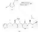 Fig. 21 - Compounds for enzyme inhibition