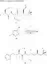 Fig. 38 - Compounds for enzyme inhibition