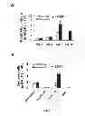 Fig. 08 - Compositions and methods for the treatment of tissue fibrosis