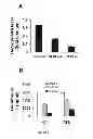 Fig. 32 - Compositions and methods for the treatment of tissue fibrosis