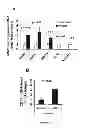Fig. 33 - Compositions and methods for the treatment of tissue fibrosis