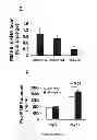 Fig. 35 - Compositions and methods for the treatment of tissue fibrosis