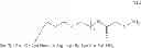 Fig. 08 - Melanocortin Receptor Binding Conjugates