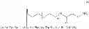 Fig. 09 - Melanocortin Receptor Binding Conjugates