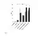 Fig. 09 - Mutant CD83 promoter and use thereof