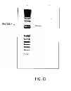 Fig. 14 - Mesothelin vaccines and model systems