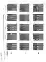 Fig. 19 - Mesothelin vaccines and model systems