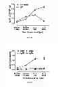 Fig. 02 - IMMUNOGENIC CHIKUNGUNYA VIRUS PEPTIDES