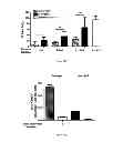 Fig. 05 - IMMUNOGENIC CHIKUNGUNYA VIRUS PEPTIDES