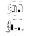 Fig. 06 - IMMUNOGENIC CHIKUNGUNYA VIRUS PEPTIDES