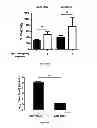 Fig. 07 - IMMUNOGENIC CHIKUNGUNYA VIRUS PEPTIDES