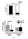 Fig. 08 - IMMUNOGENIC CHIKUNGUNYA VIRUS PEPTIDES
