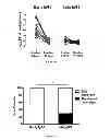 Fig. 09 - IMMUNOGENIC CHIKUNGUNYA VIRUS PEPTIDES