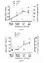 Fig. 12 - IMMUNOGENIC CHIKUNGUNYA VIRUS PEPTIDES