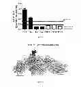 Fig. 16 - IMMUNOGENIC CHIKUNGUNYA VIRUS PEPTIDES