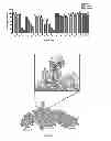 Fig. 19 - IMMUNOGENIC CHIKUNGUNYA VIRUS PEPTIDES