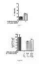Fig. 20 - IMMUNOGENIC CHIKUNGUNYA VIRUS PEPTIDES