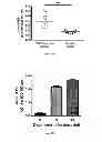 Fig. 24 - IMMUNOGENIC CHIKUNGUNYA VIRUS PEPTIDES