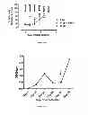 Fig. 25 - IMMUNOGENIC CHIKUNGUNYA VIRUS PEPTIDES