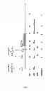 Fig. 26 - IMMUNOGENIC CHIKUNGUNYA VIRUS PEPTIDES