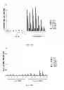 Fig. 27 - IMMUNOGENIC CHIKUNGUNYA VIRUS PEPTIDES
