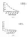 Fig. 28 - IMMUNOGENIC CHIKUNGUNYA VIRUS PEPTIDES