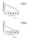 Fig. 30 - IMMUNOGENIC CHIKUNGUNYA VIRUS PEPTIDES