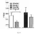 Fig. 33 - IMMUNOGENIC CHIKUNGUNYA VIRUS PEPTIDES