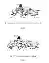 Fig. 43 - IMMUNOGENIC CHIKUNGUNYA VIRUS PEPTIDES