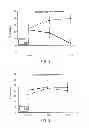 Fig. 02 - Inactivated bacterial cell formulation