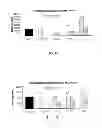 Fig. 07 - Inactivated bacterial cell formulation