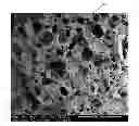 Fig. 01 - Devices and Methods for Tissue Engineering