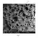Fig. 02 - Devices and Methods for Tissue Engineering