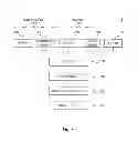 Fig. 04 - Devices and Methods for Tissue Engineering