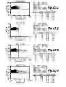 Fig. 11 - Method for preventing or treating infection