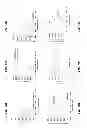 Fig. 05 - NUCLEIC ACID BINDING COMPOUNDS, METHODS OF MAKING, AND USE THEREOF