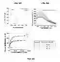Fig. 06 - NUCLEIC ACID BINDING COMPOUNDS, METHODS OF MAKING, AND USE THEREOF