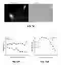 Fig. 10 - NUCLEIC ACID BINDING COMPOUNDS, METHODS OF MAKING, AND USE THEREOF