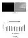 Fig. 11 - NUCLEIC ACID BINDING COMPOUNDS, METHODS OF MAKING, AND USE THEREOF