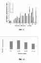 Fig. 12 - NUCLEIC ACID BINDING COMPOUNDS, METHODS OF MAKING, AND USE THEREOF