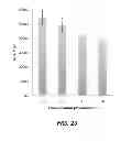 Fig. 17 - NUCLEIC ACID BINDING COMPOUNDS, METHODS OF MAKING, AND USE THEREOF