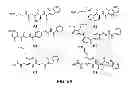 Fig. 19 - NUCLEIC ACID BINDING COMPOUNDS, METHODS OF MAKING, AND USE THEREOF