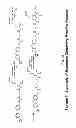 Fig. 28 - NUCLEIC ACID BINDING COMPOUNDS, METHODS OF MAKING, AND USE THEREOF